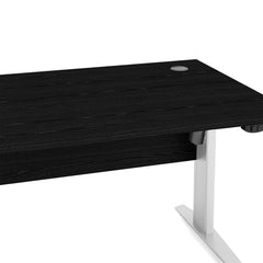 Prima Desk 150 cm in Black woodgrain with Height adjustable legs with electric control in White