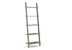 Ladder Design Shelf Unit