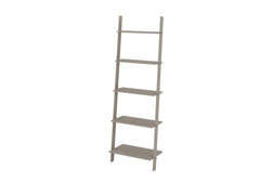 Ladder Design Shelf Unit